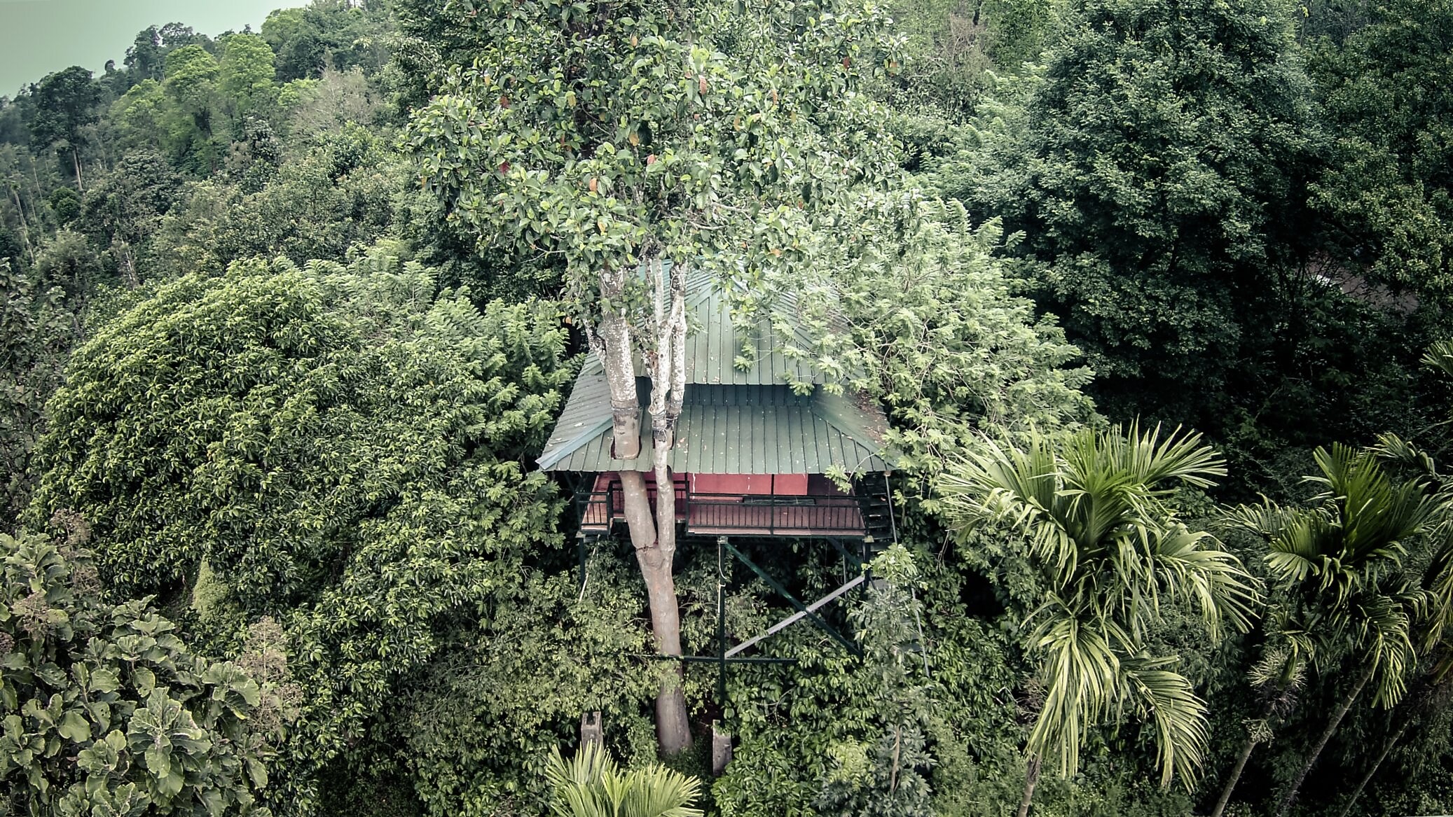 Coffee Acres Plantation Resort Wayanad Inr 880 Off 4 0 0 0