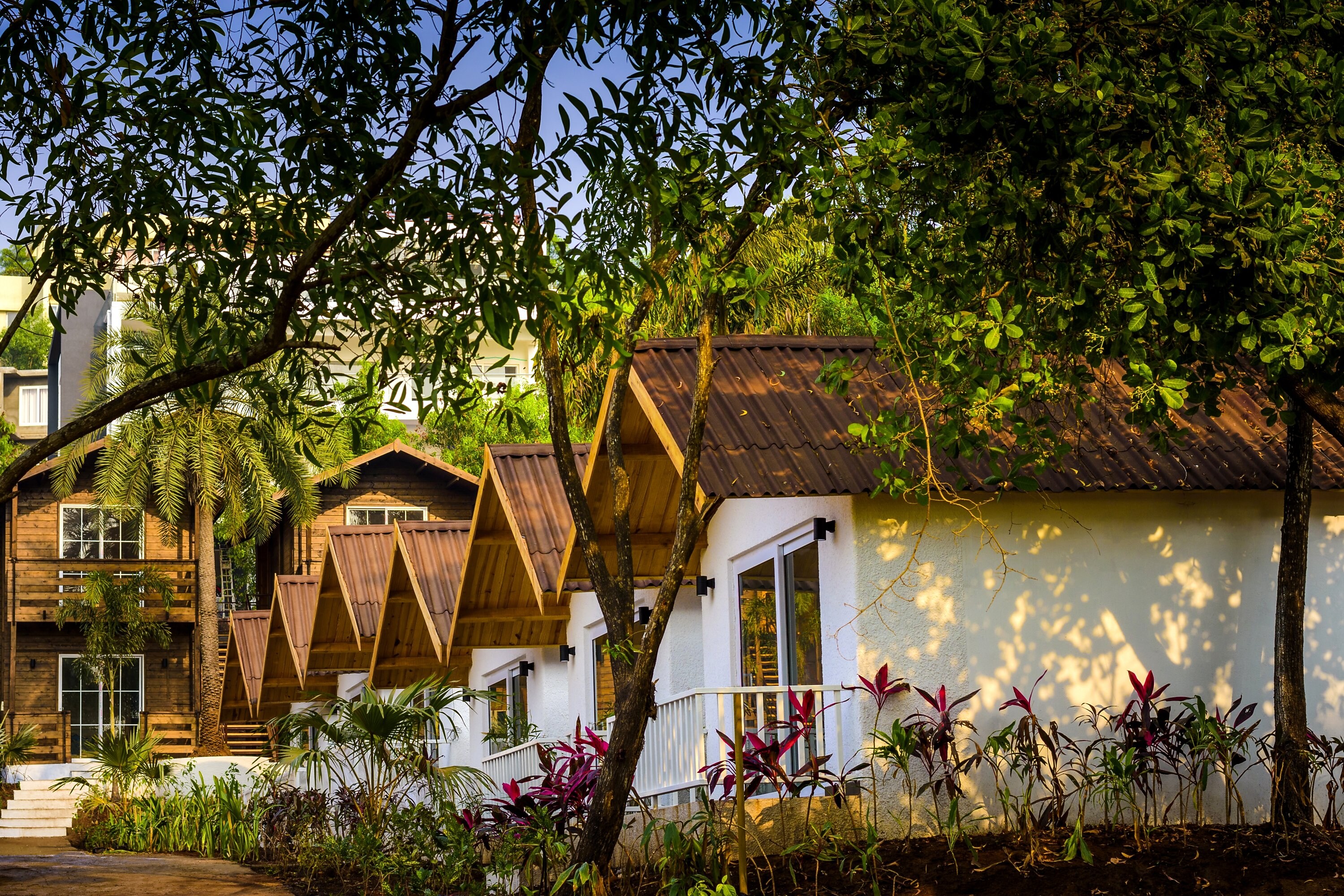 White Woods Resort Spa Goa Inr 1025 Off 3 9 9 9 Resort