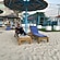 user photos