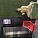 user photos
