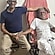 user photos