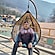 user photos