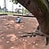 user photos