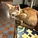 user photos