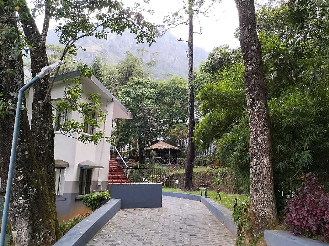 Sterling Munnar 𝗕𝗢𝗢𝗞 Munnar Resort 𝘄𝗶𝘁𝗵 ₹𝟬 𝗣𝗔𝗬𝗠𝗘𝗡𝗧