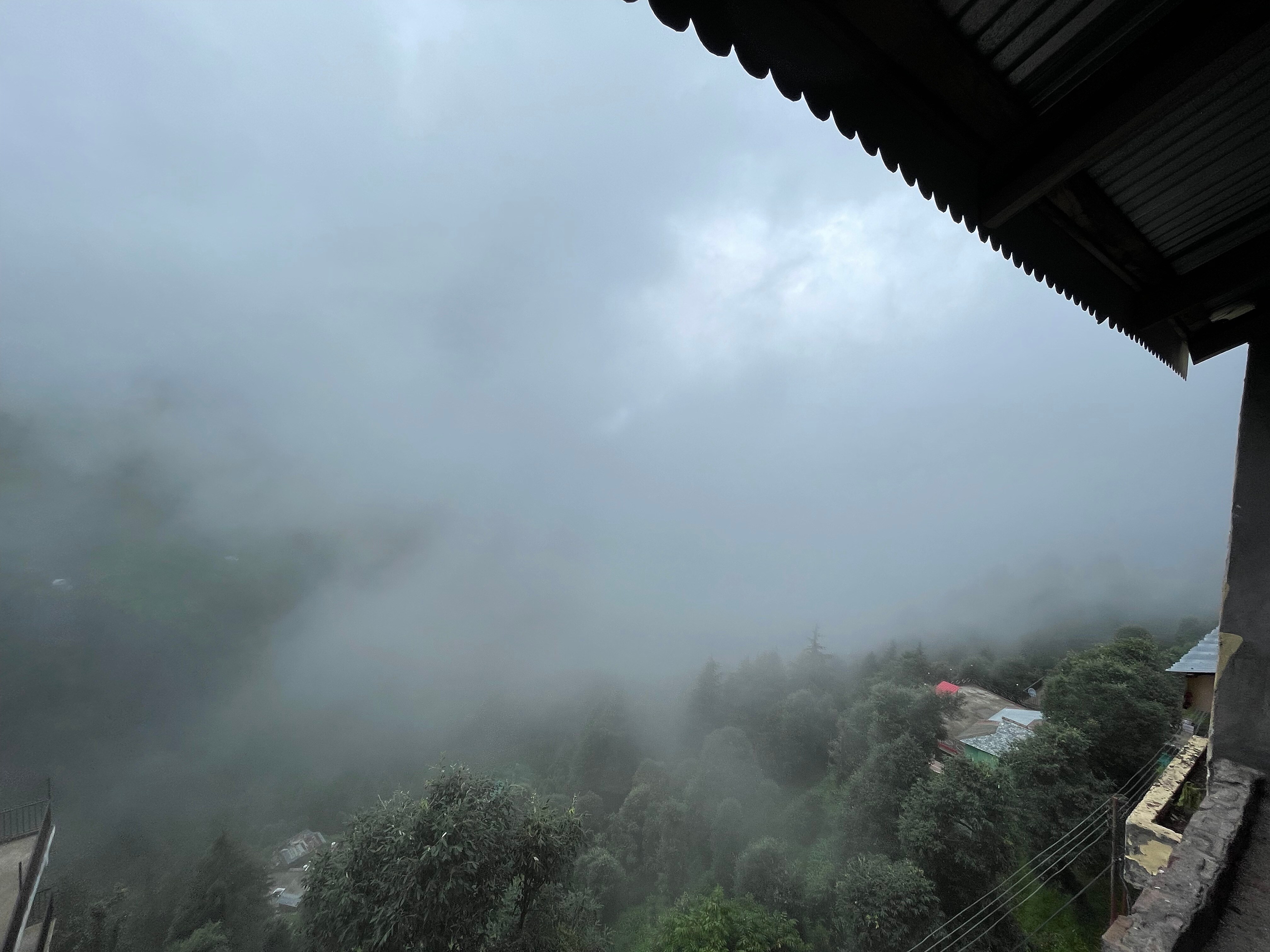 Iris Gellasenheit ( Jasmine II ) 𝗕𝗢𝗢𝗞 Dalhousie Hotel 𝘄𝗶𝘁𝗵 𝗙𝗥𝗘𝗘