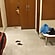 user photos