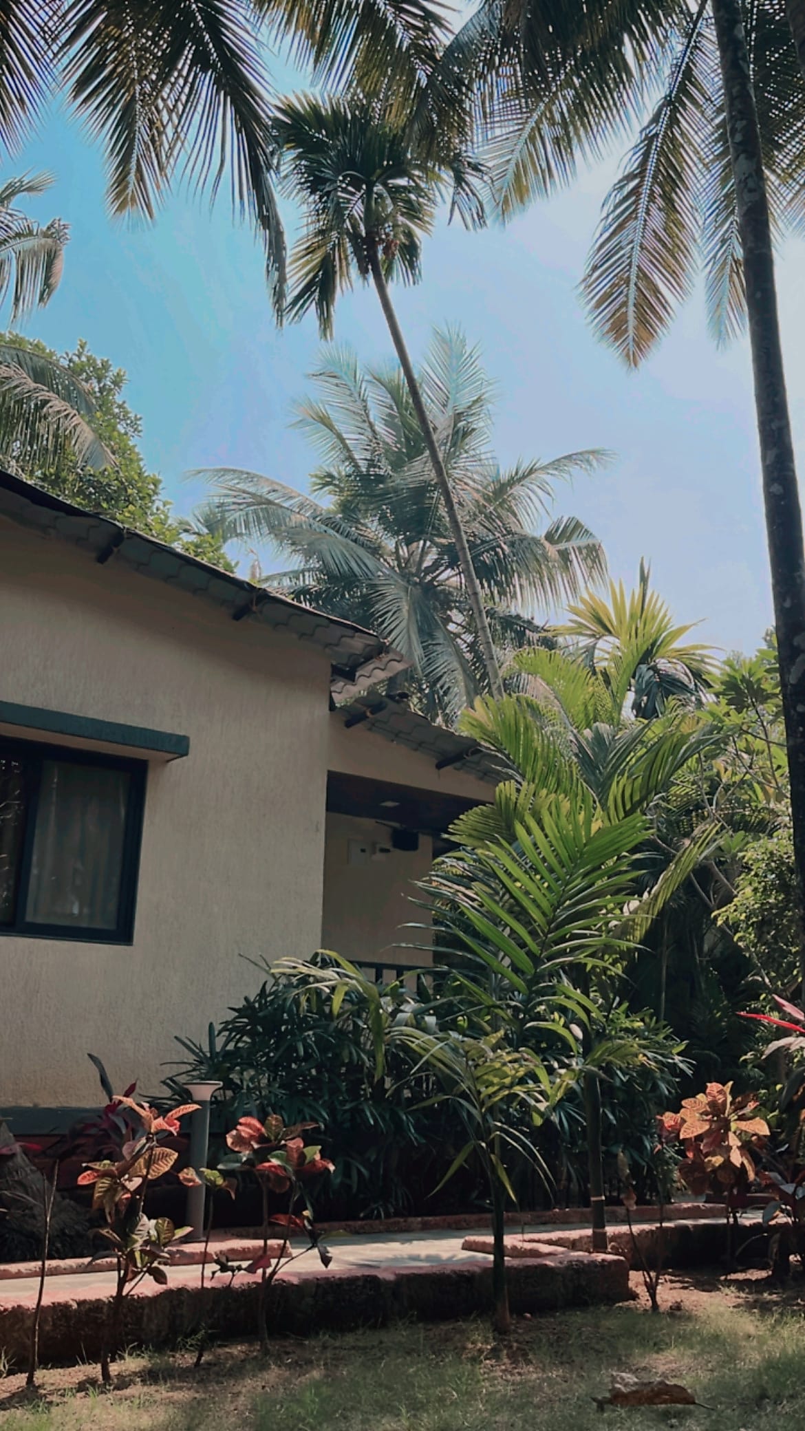 Photos of Coconut Fly Holidays Hotel in Diveagar