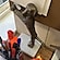 user photos