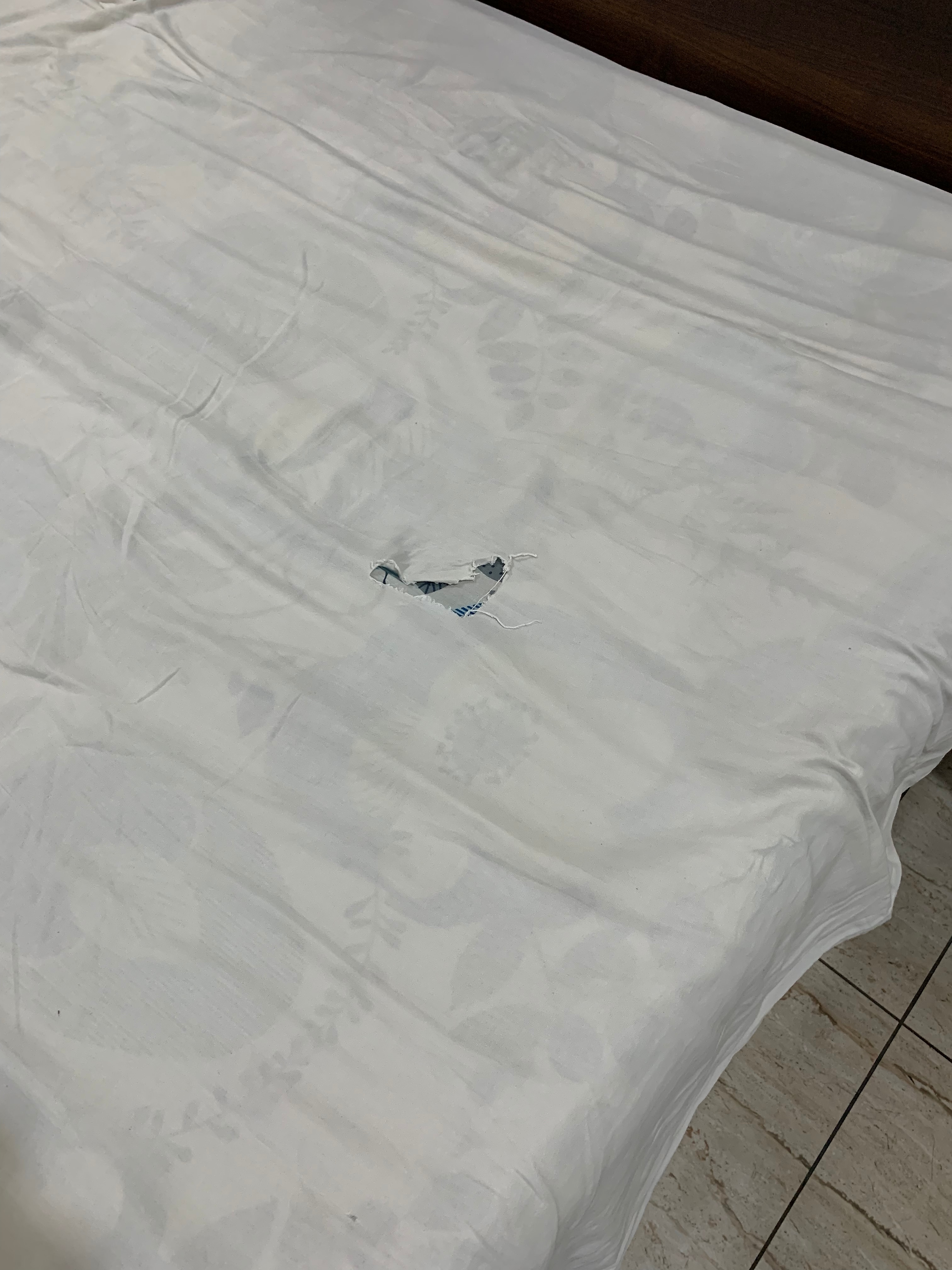 Hotel Lotus Grand Best Rates on Tirupati Hotel Deals, Reviews & Photos