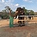 user photos