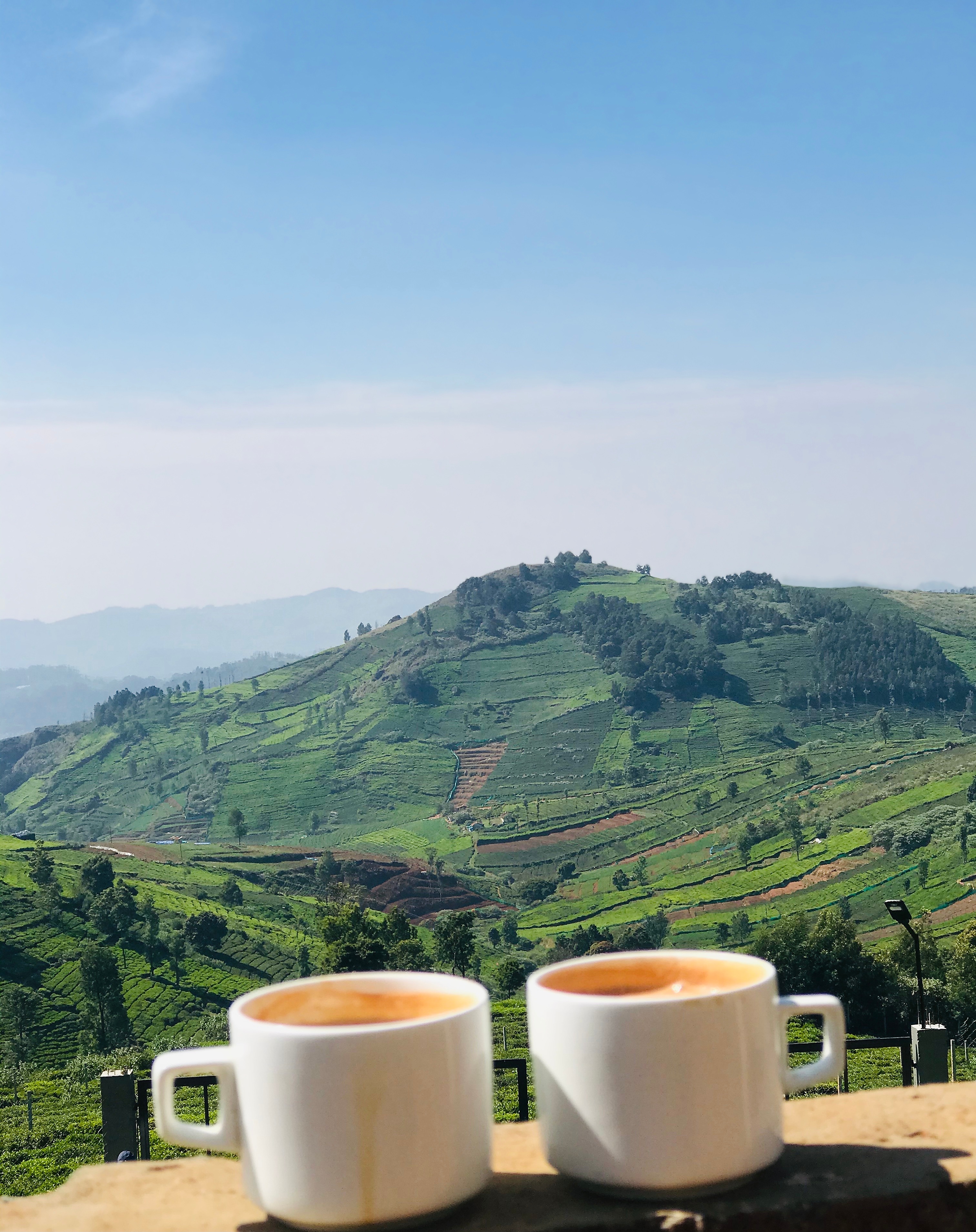 Mountain Trails Ooty Villa Price, Address & Reviews