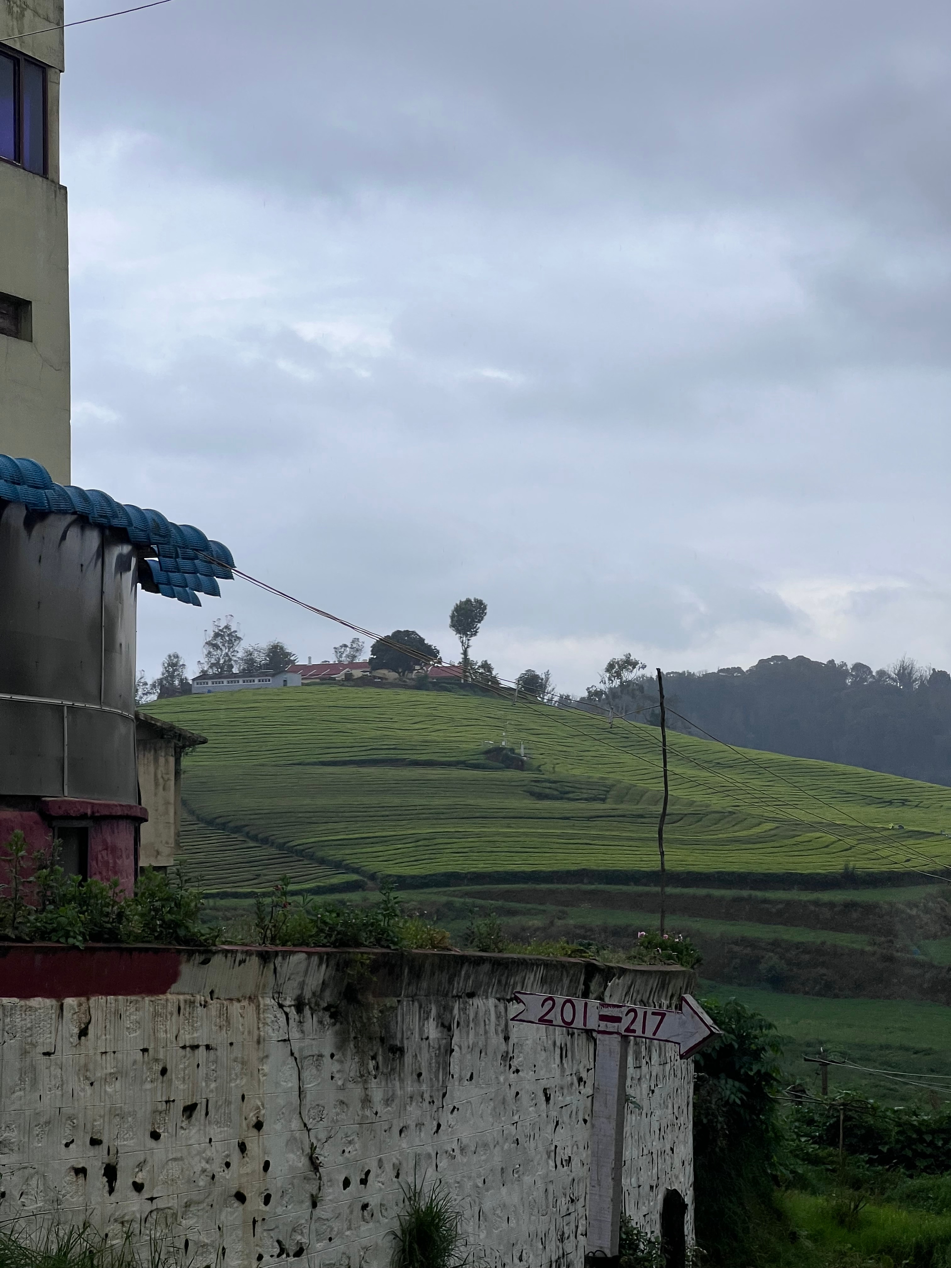 Mango Hill Resort Ooty 𝗕𝗢𝗢𝗞 Ooty Resort 𝘄𝗶𝘁𝗵 𝗙𝗥𝗘𝗘 𝗖𝗮𝗻𝗰𝗲𝗹𝗹𝗮𝘁𝗶𝗼𝗻