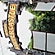 user photos