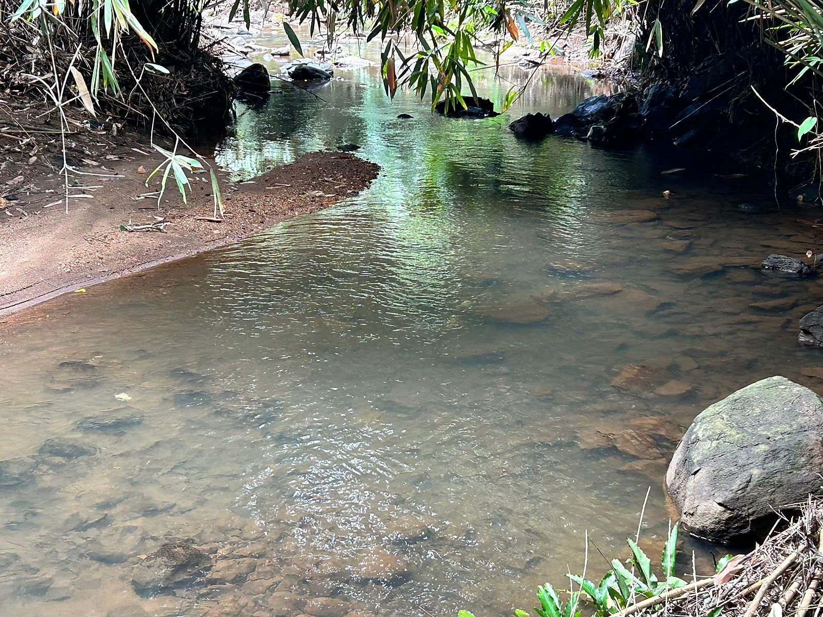 Nutmeg Valley Villa Rooms & Guided Treks 𝗕𝗢𝗢𝗞 Thodupuzha Farm House