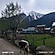 user photos