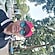 user photos