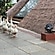 user photos