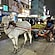 user photos