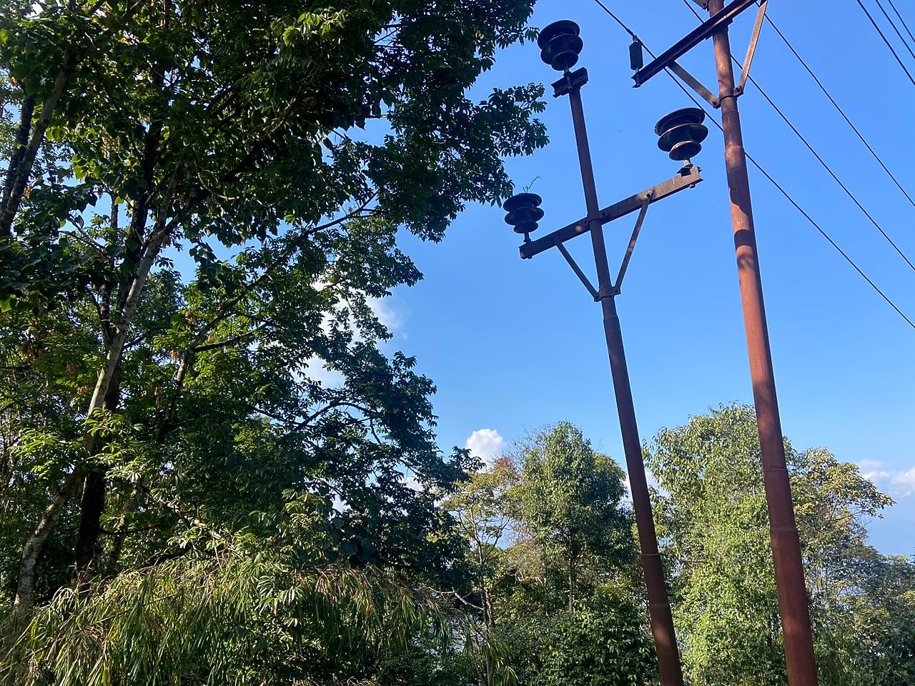 Joe's Farm 𝗕𝗢𝗢𝗞 Darjeeling Lodge 𝘄𝗶𝘁𝗵 ₹𝟬 𝗣𝗔𝗬𝗠𝗘𝗡𝗧