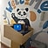 user photos