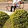 user photos