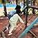 user photos