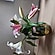 user photos
