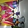 user photos