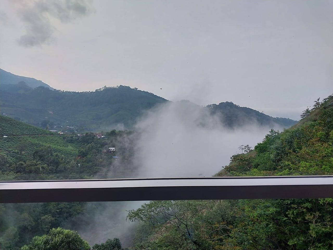 Reviews of Blanket Hotel & Spa Munnar Hotel in Munnar