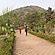 user photos