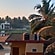 user photos