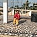user photos