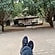 user photos