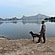 user photos