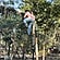 user photos