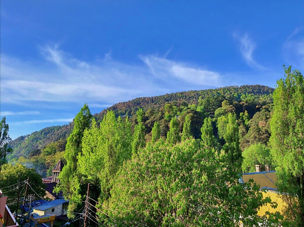 VPS Cottage Premium Homestay near Mall Road Nainital 𝗕𝗢𝗢𝗞 Nainital