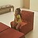 user photos