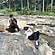 user photos