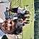 user photos