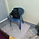 user photos