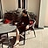 user photos