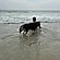 user photos