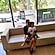 user photos