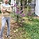 user photos