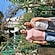 user photos
