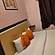 user photos