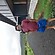 user photos
