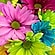 user photos