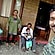 user photos